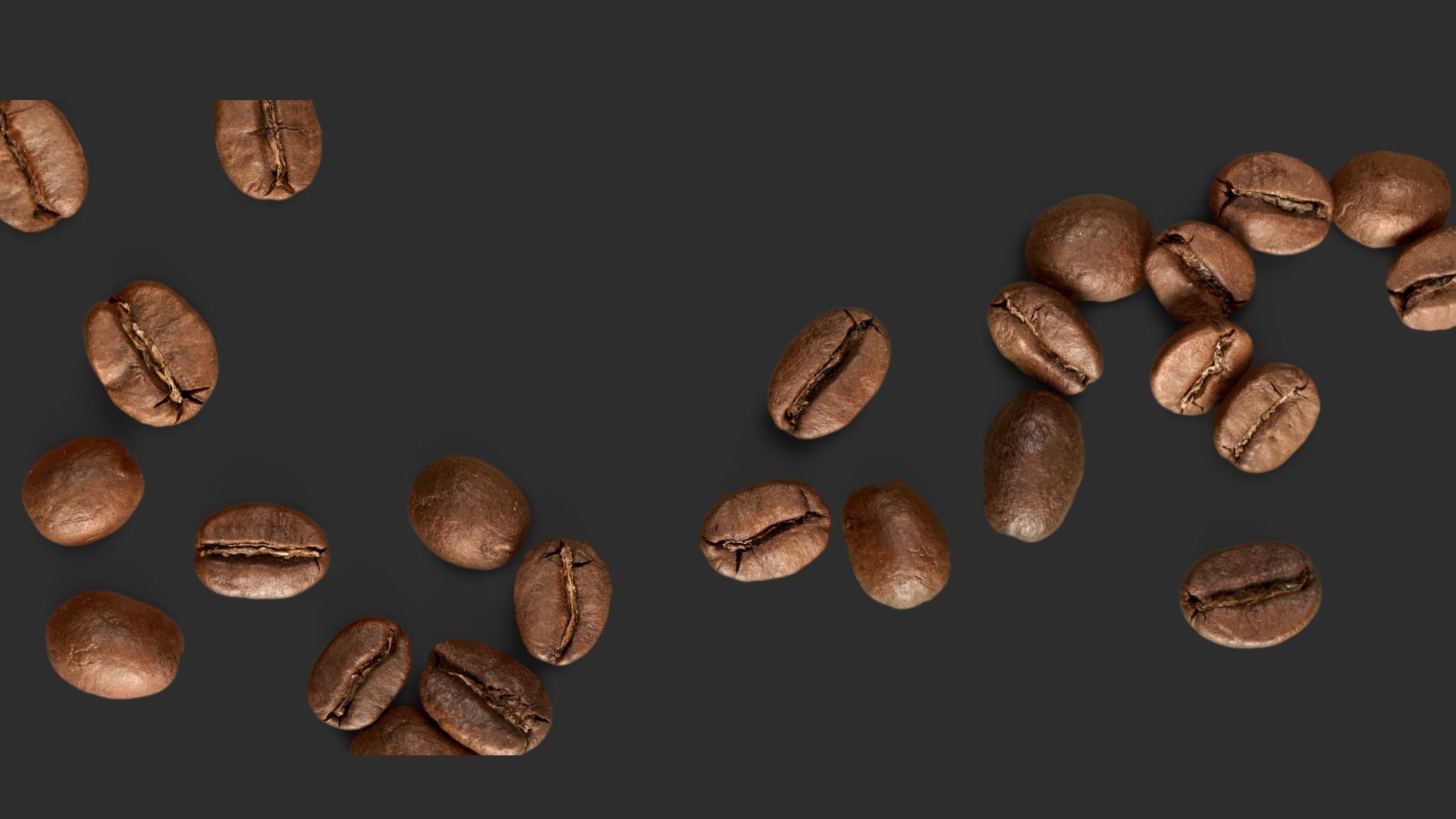 Aribica coffee beans