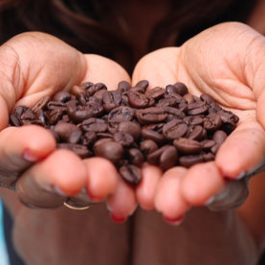 Peak Flavor selects naturally sweet coffee beans for french press