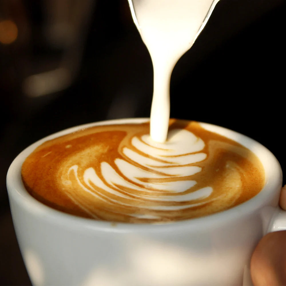 Use lactose free whole milk for best milk froth