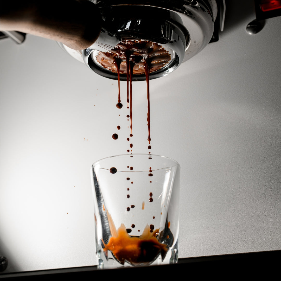 Espresso Grounds for Best Crema