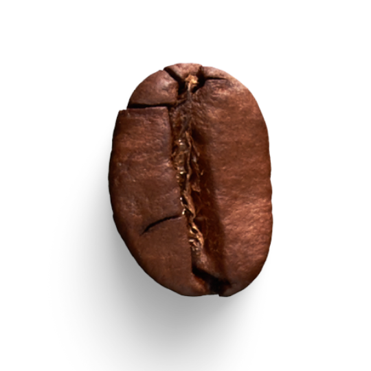 Fresh Roasted Coffee Beans