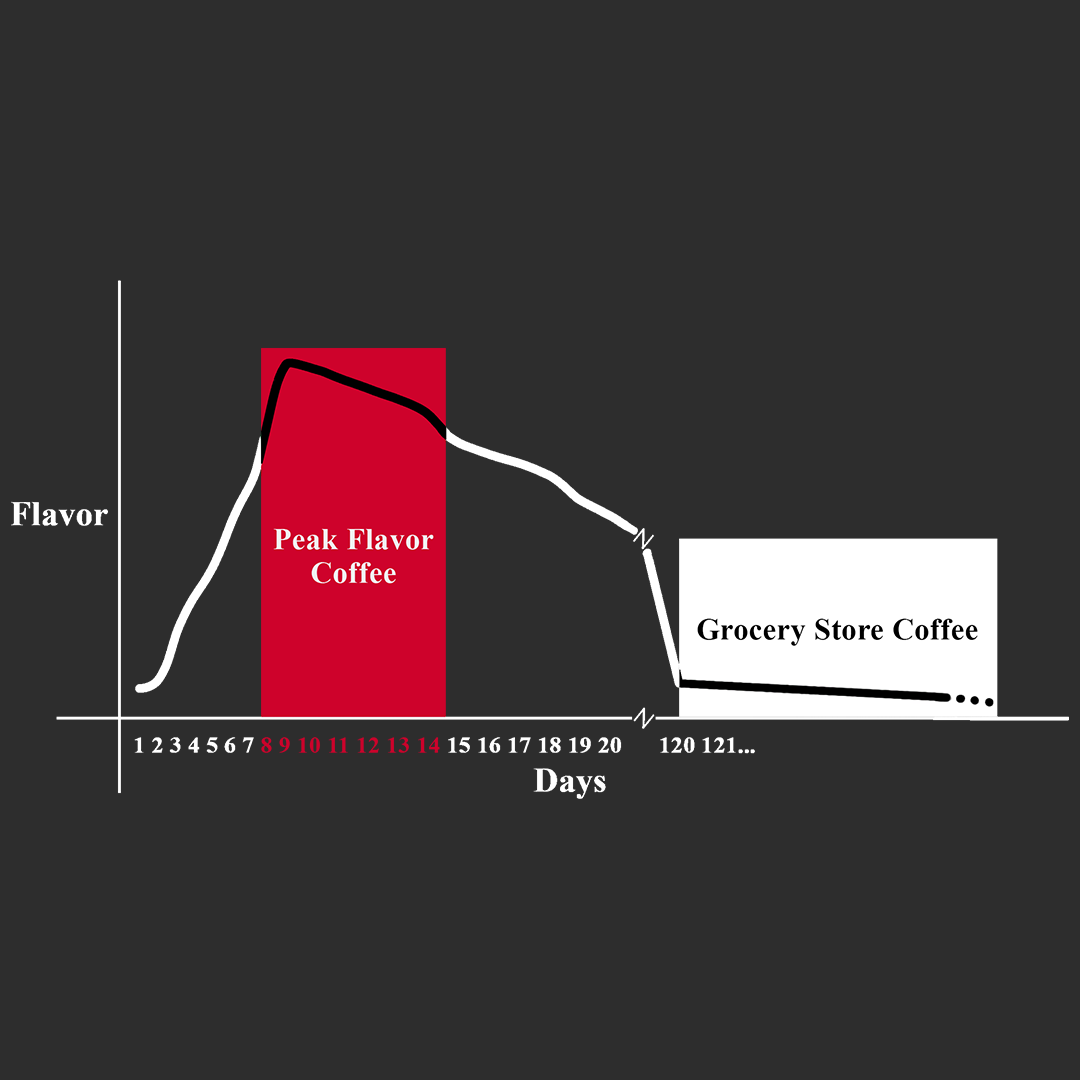 Fresh roasted coffee reaches peak flavor on day 8 after roasting