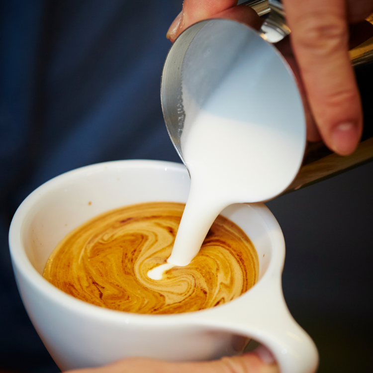 Use lactose free whole milk for best milk froth