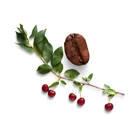 Peak Flavor selects naturally sweet coffee beans