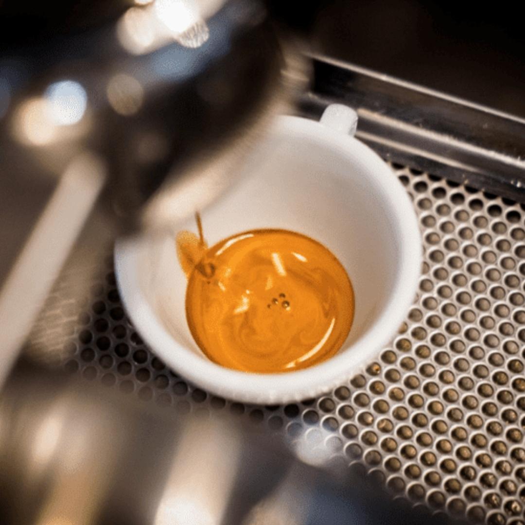 Fresh Roasted Italian Espresso for your espresso machine